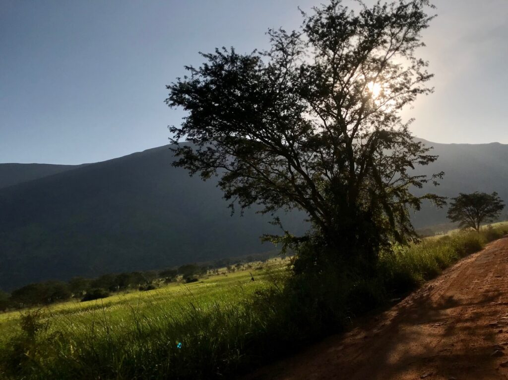 Kasindi: Vers une résolution du conflit de limite du Parc National des Virunga